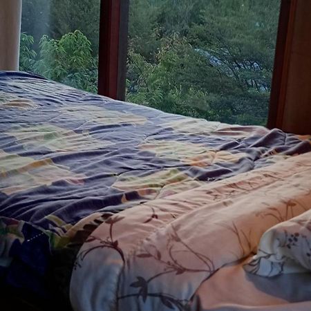 Hostal Quillelhue プコン エクステリア 写真