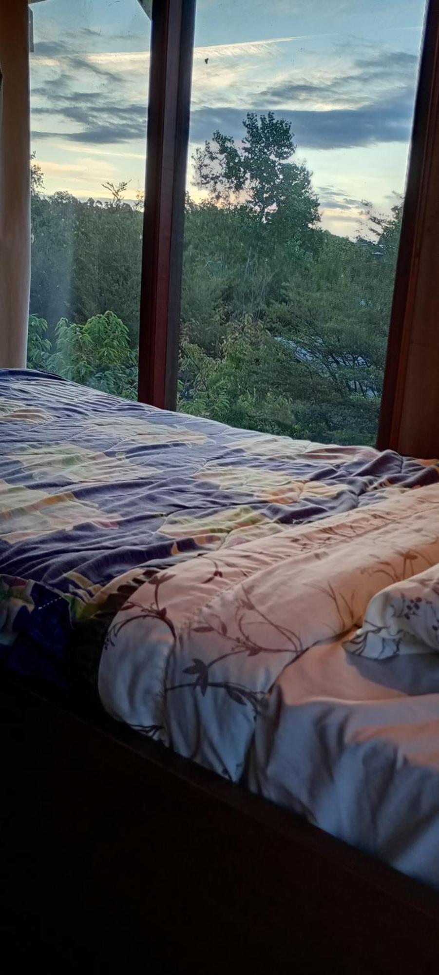 Hostal Quillelhue プコン エクステリア 写真